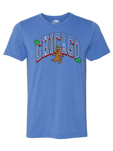 Chicago T Shirt of the Month Club Chicago Shirt Co