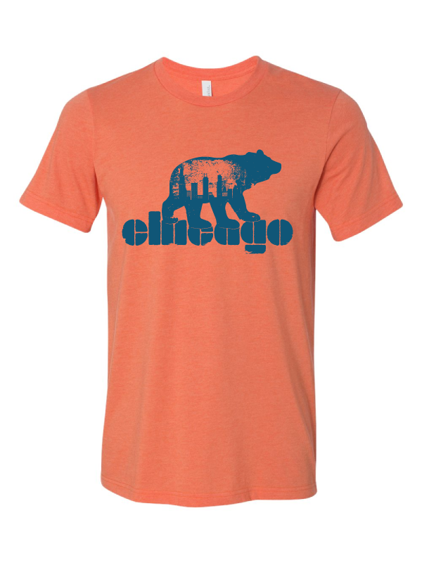 vintage chicago bears skyline tshirt